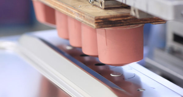 tampografia Лазерная маркировка также заполонила сферу производства бытовой техники – проект POLARIS